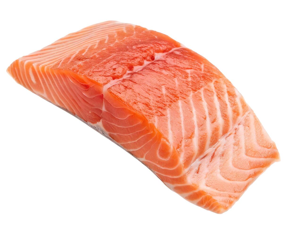 fresh flying salmon fillet isolated on white background photo