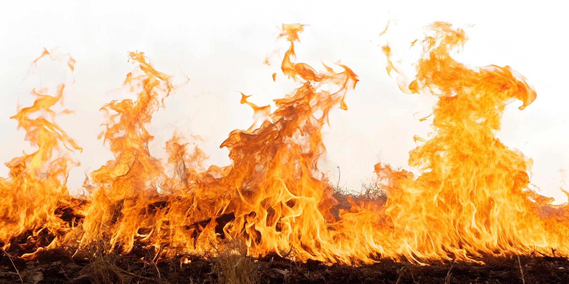 Fire flames on black background. Fire burn flame isolated, abstract texture. Flaming effect with burning photo