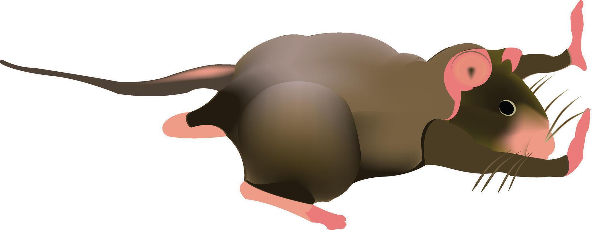 A cartoon mouse with its tail up vector