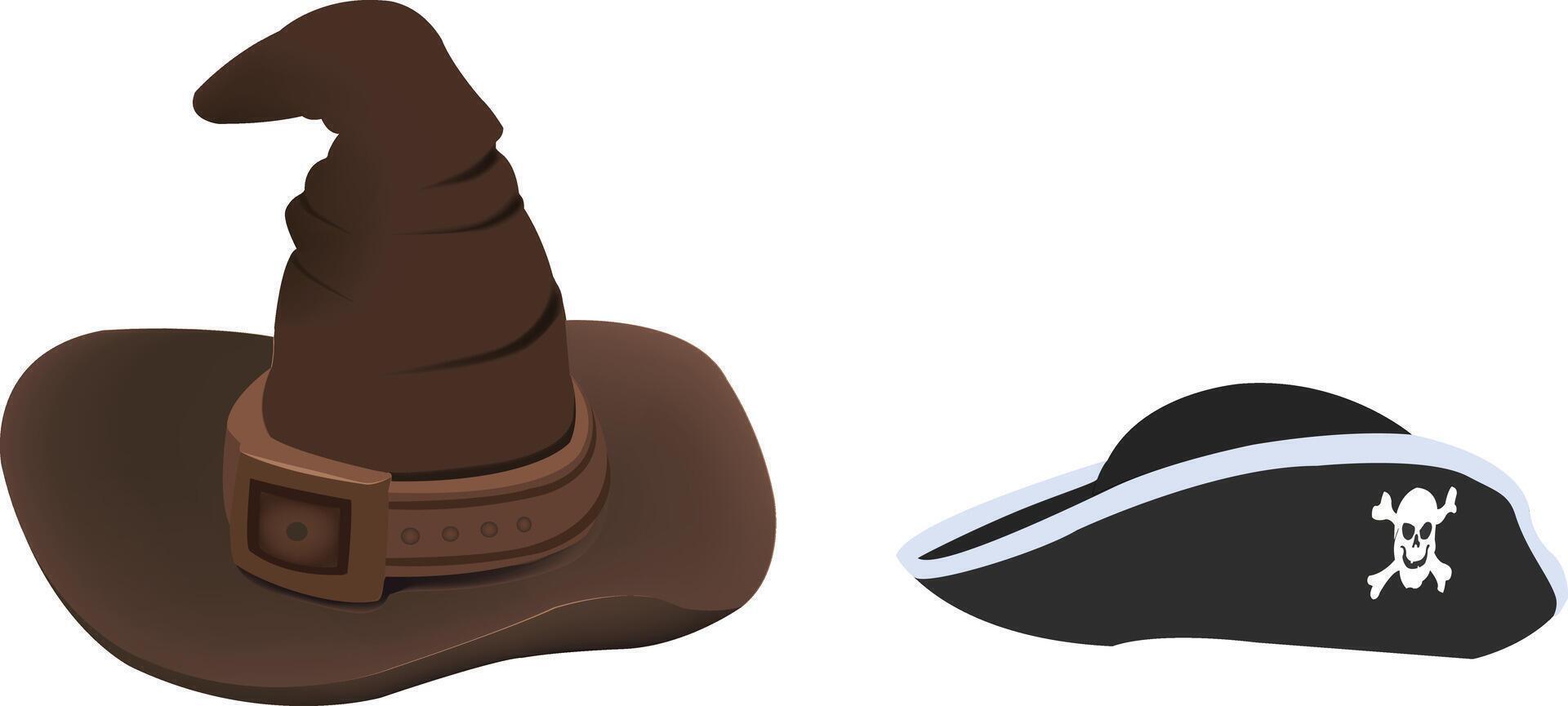 A pirate hat and a pirate hat vector