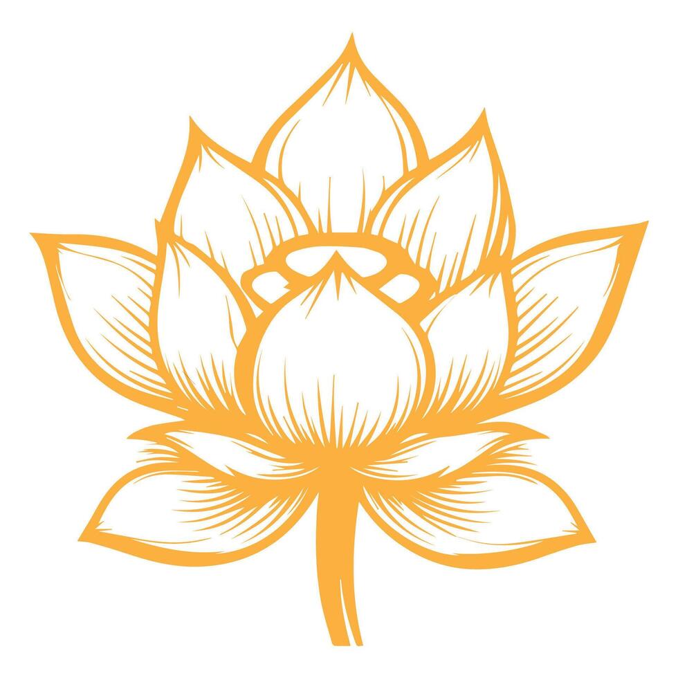 a lotus flower on a white background vector