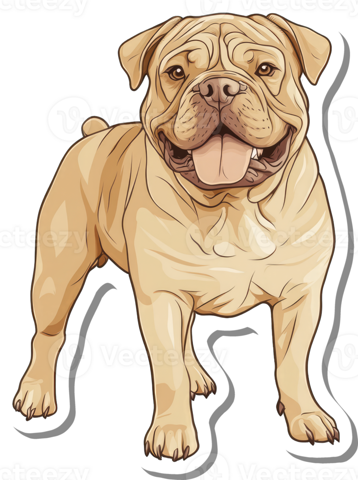 A Tan Bulldog Stands Alert And Happy png