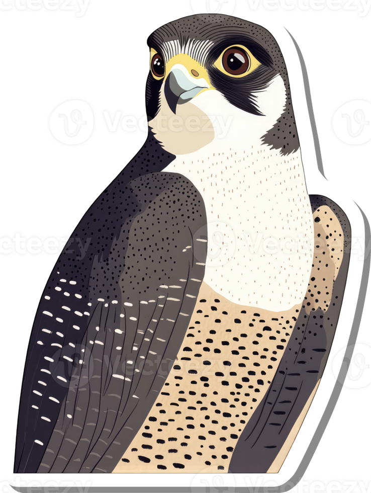A Striking Illustration Of A Peregrine Falcon png