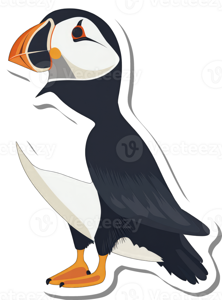 A Colorful Puffin Bird Sticker Illustration png