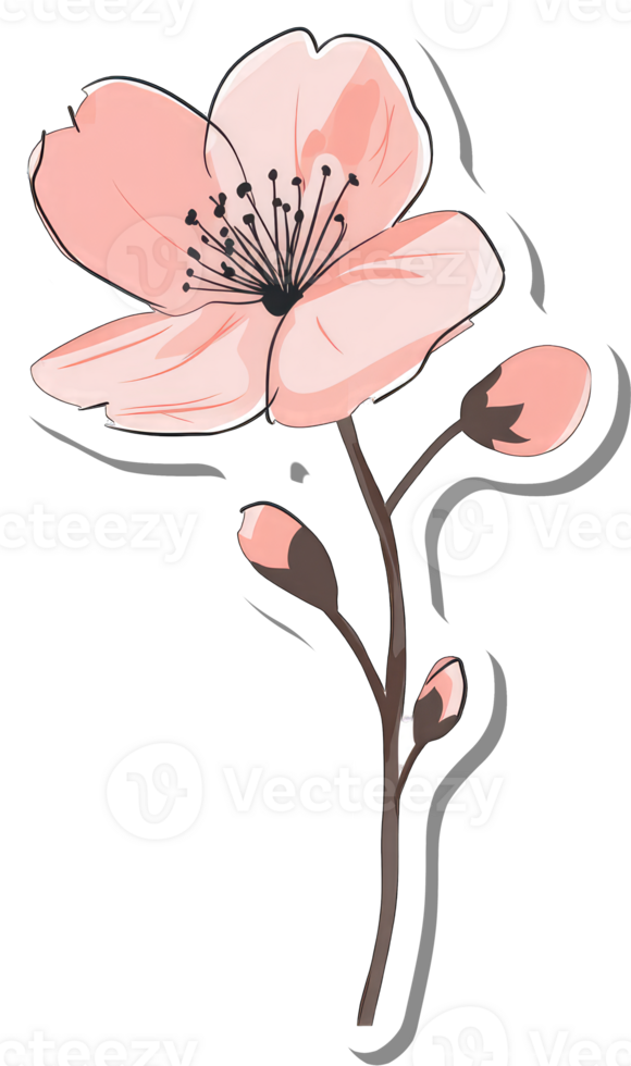 Delicate Pink Blossom Branch With Buds png