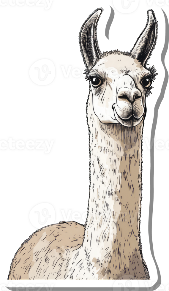 A Charming Llama Portrait Sticker Design png