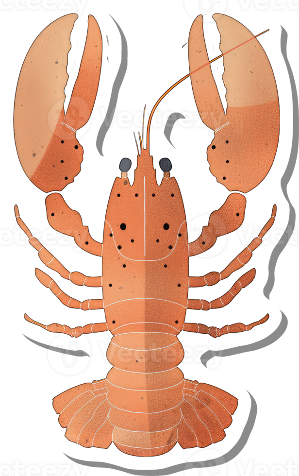 A Detailed Illustration Of An Orange Lobster png