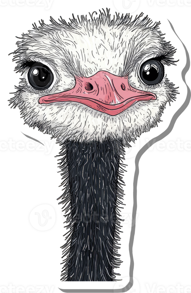 An Illustrated Sticker Of An Ostrich Head And Neck png