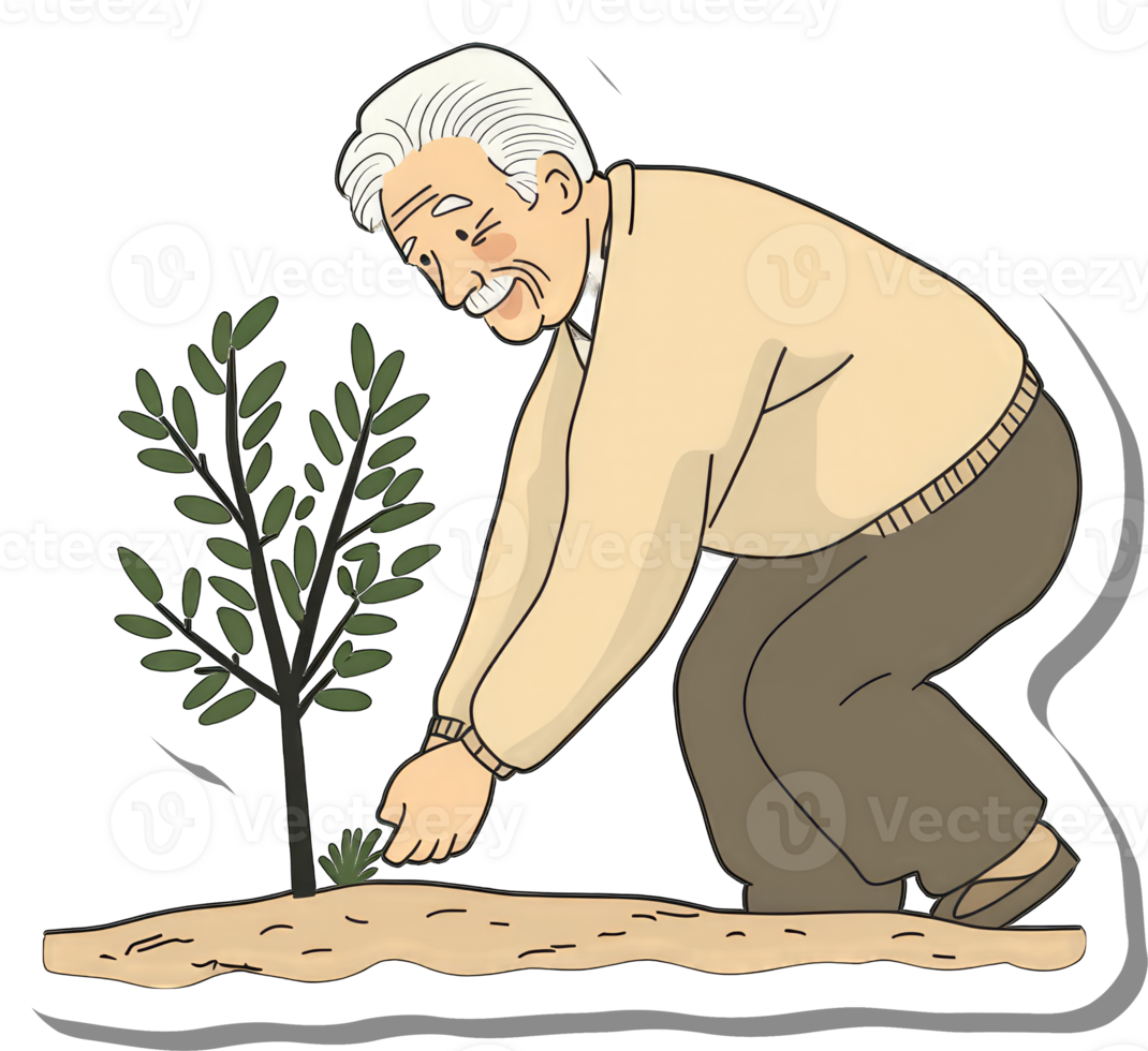 Elderly Man Planting A Small Tree Sapling png