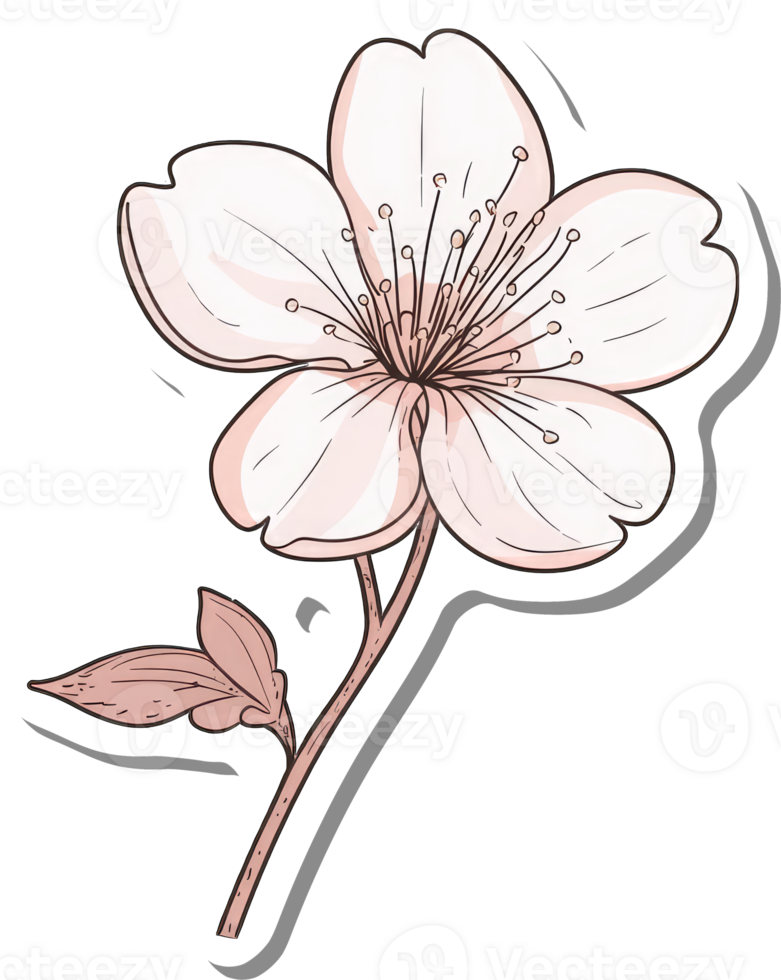 Delicate Pink Blossom Flower With Stem And Leaf png