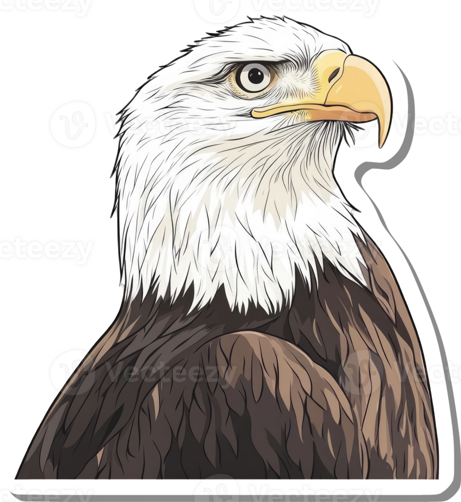 Majestic Bald Eagle Portrait In Profile View png