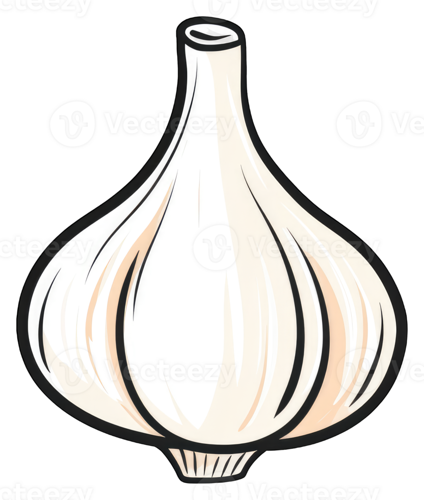 Single bulb of garlic illustrated in cartoon style png