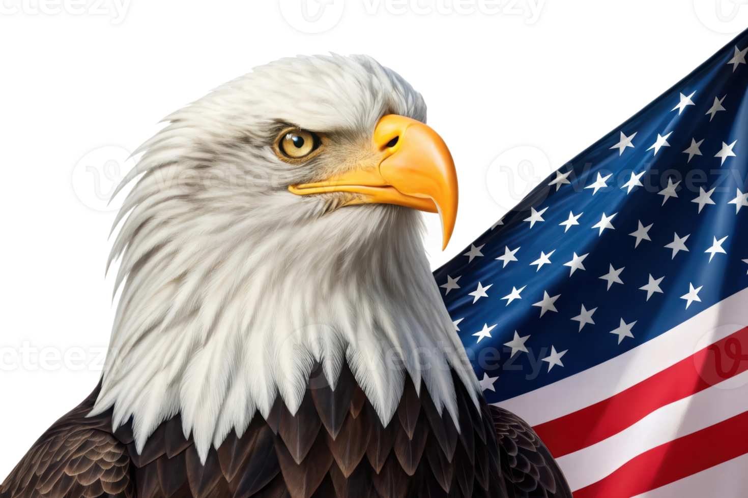 Majestic eagle with American flag background png