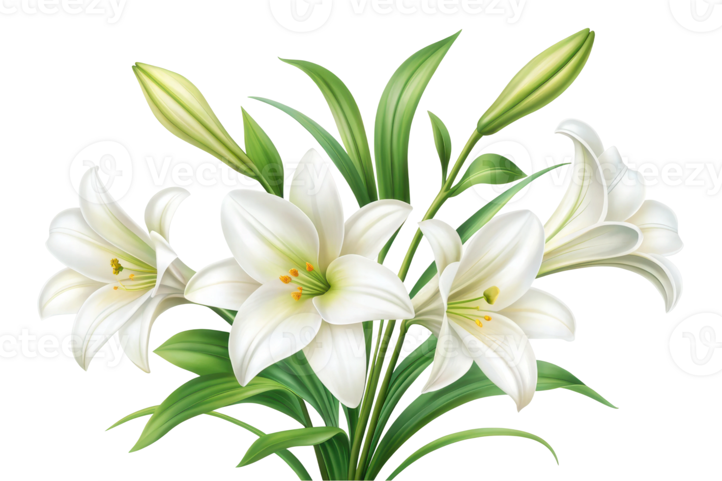 Elegant white lilies in a fresh floral arrangement png