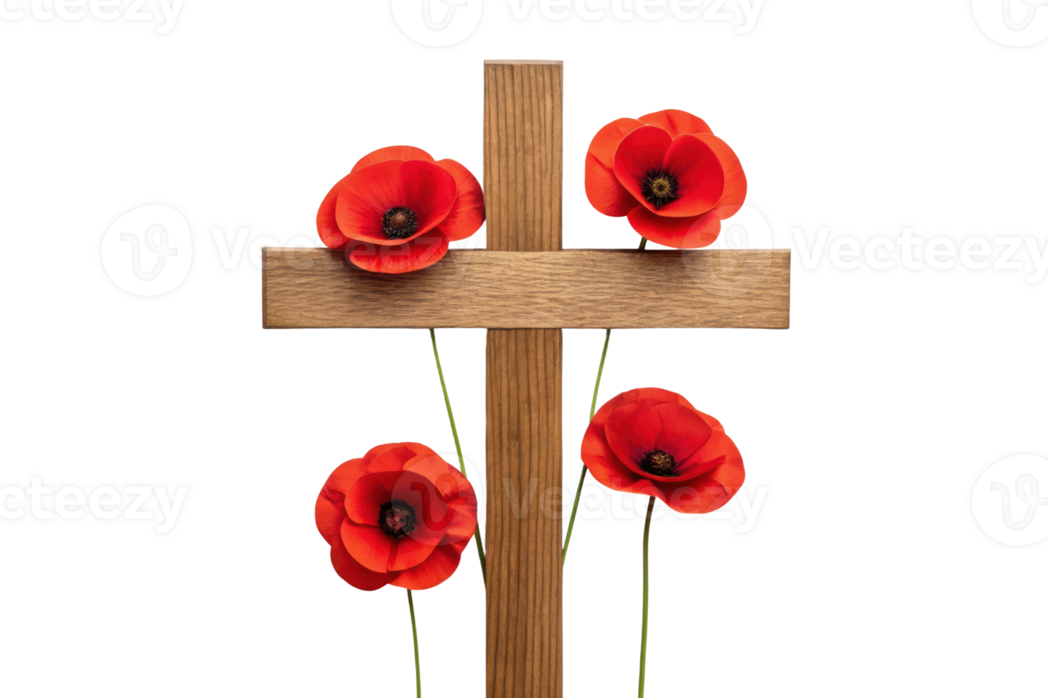 Poppies and cross symbolize remembrance and honor png