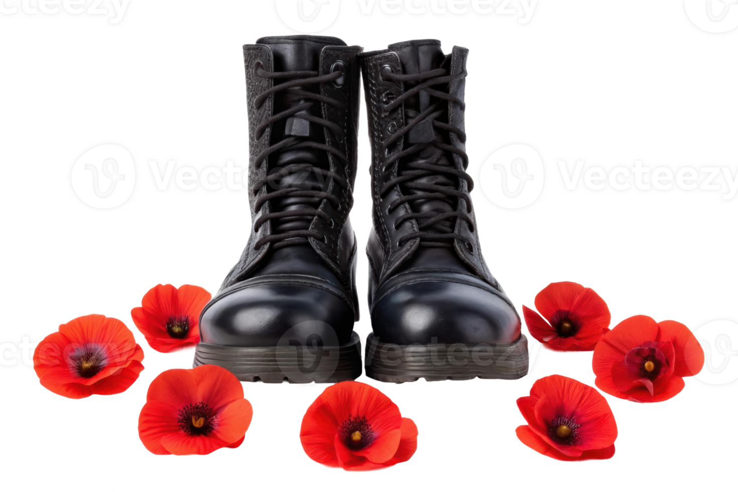 Military boots surrounded by red flowers png