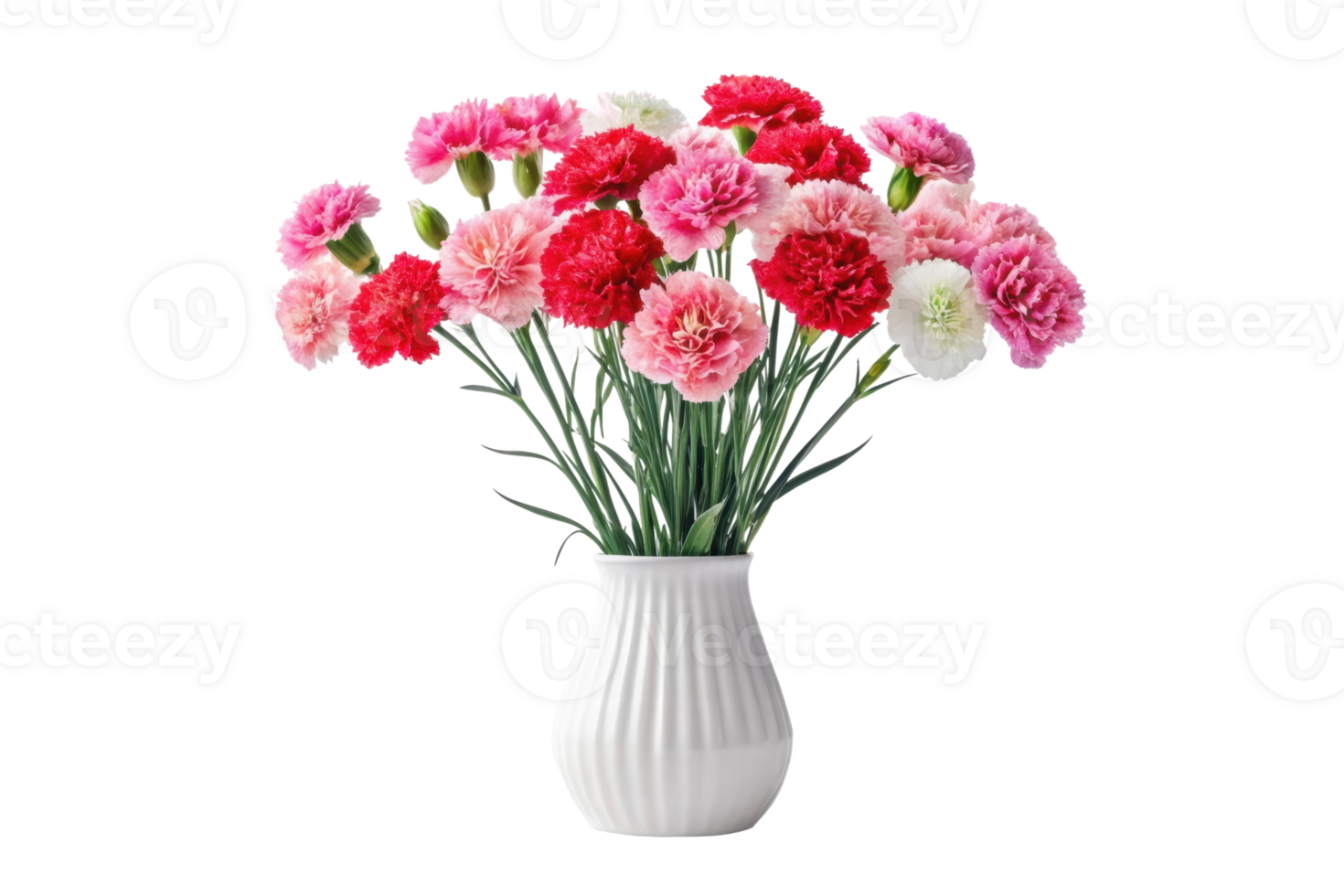 Bouquet of colorful carnations in a white vase png