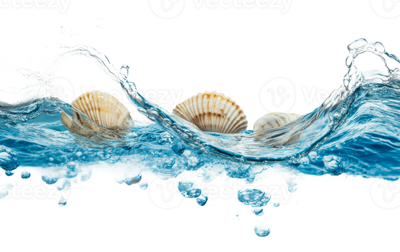 Shells emerge as waves crash on the shore png