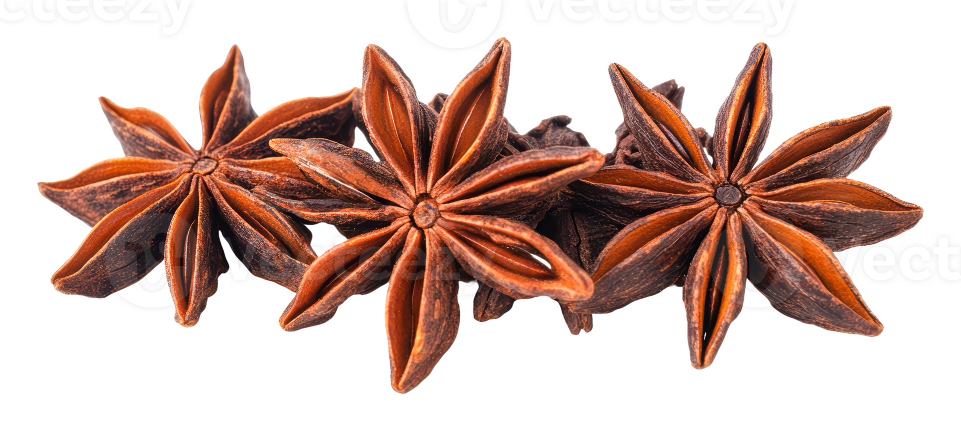Star anise pods arranged for culinary use png