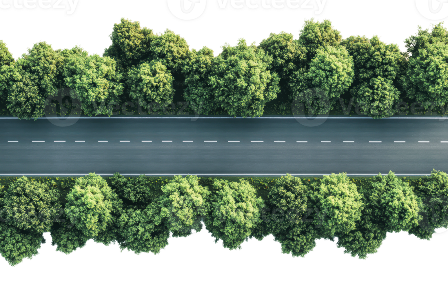 Green tree-lined road stretches through nature png