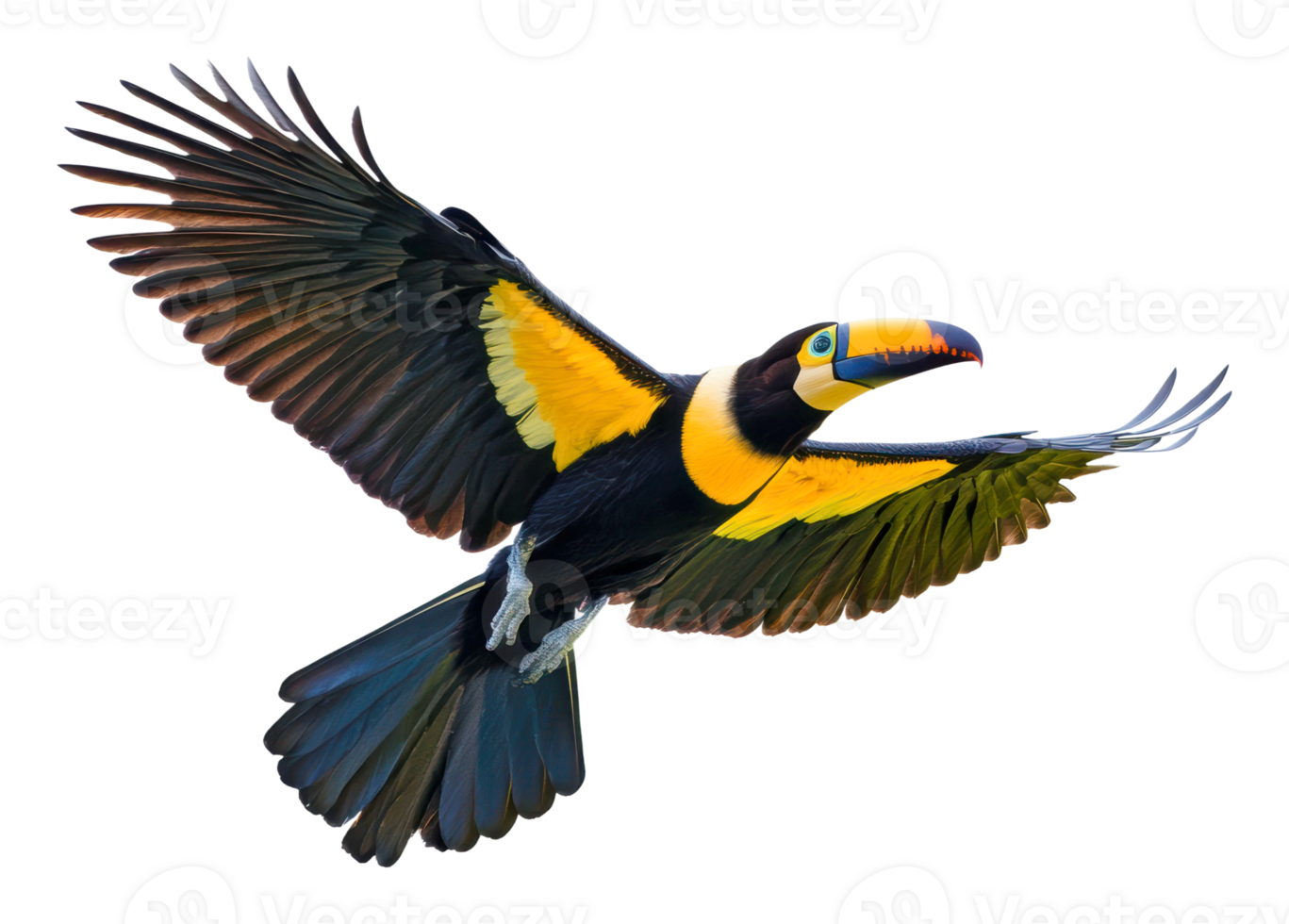Vibrant toucan soaring in clear blue sky png