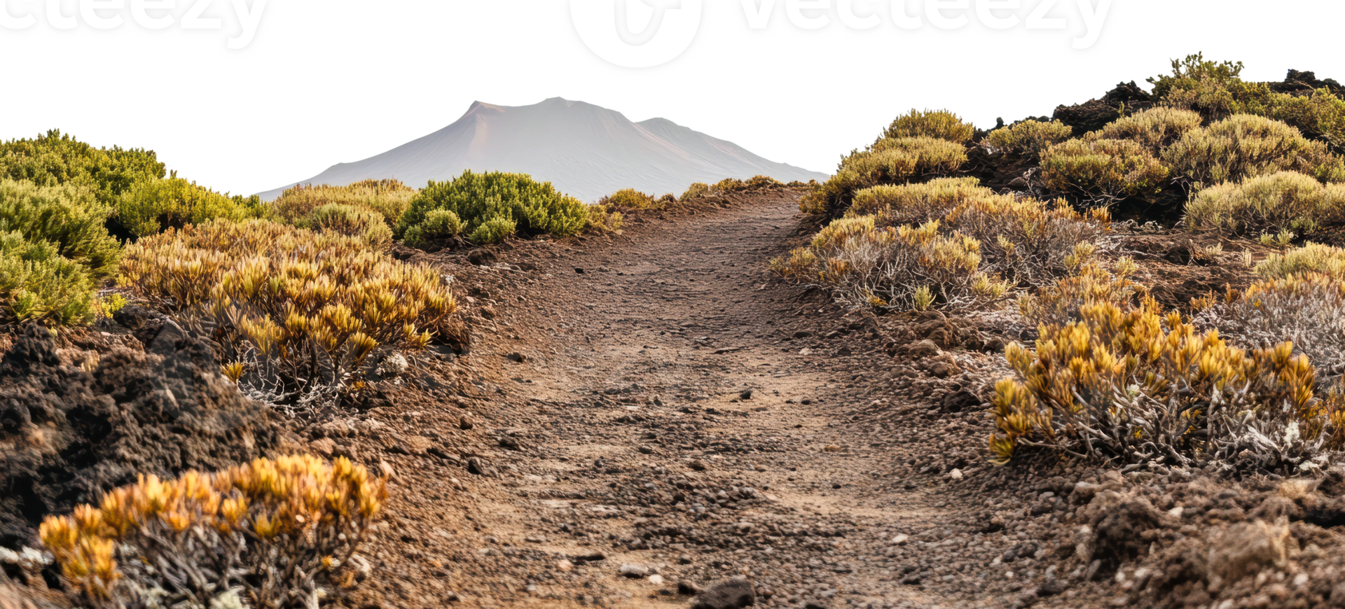 Trail with volcanic mountain view by day png