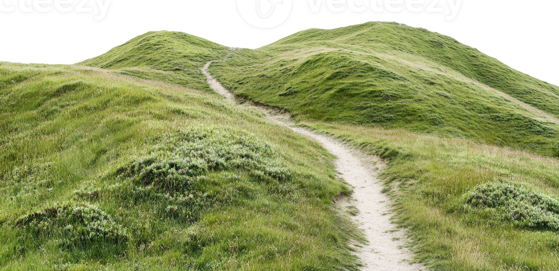 Path through green hills in daylight png