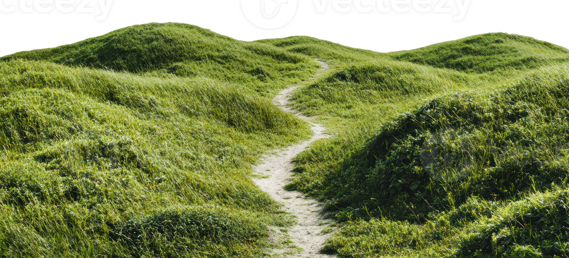 Path through lush green hills in bright sunlight png