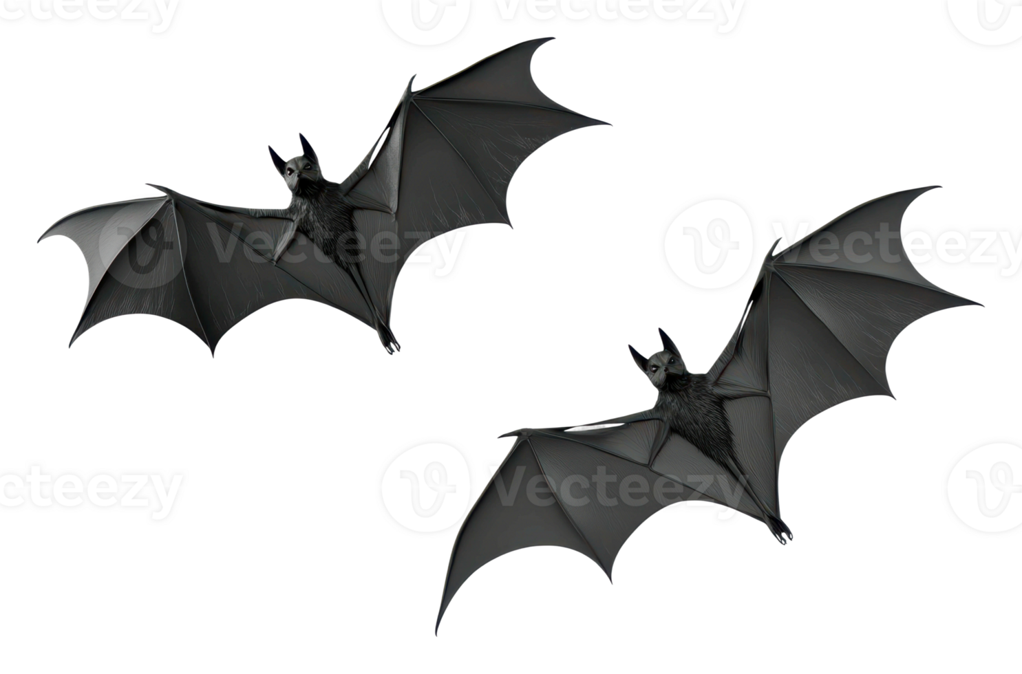 Bats in flight showcasing their wingspan at dusk png