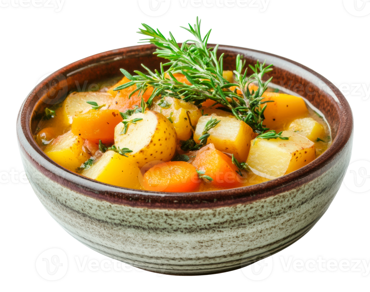 Colorful vegetable stew with fresh herbs in a bowl png