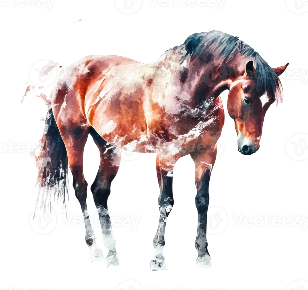 Majestic horse surrounded by abstract colors png