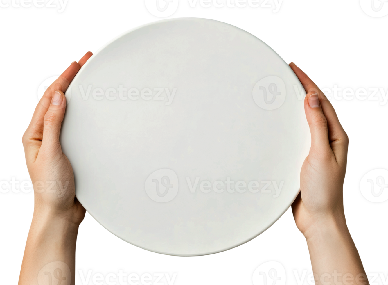 Hands holding a blank white plate for presentation png