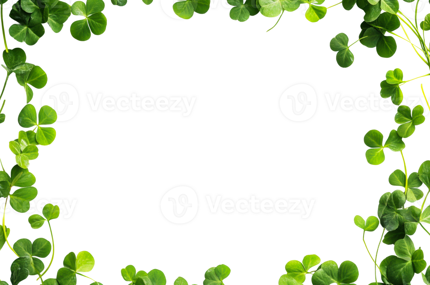 Fresh green clover leaves create a natural border png