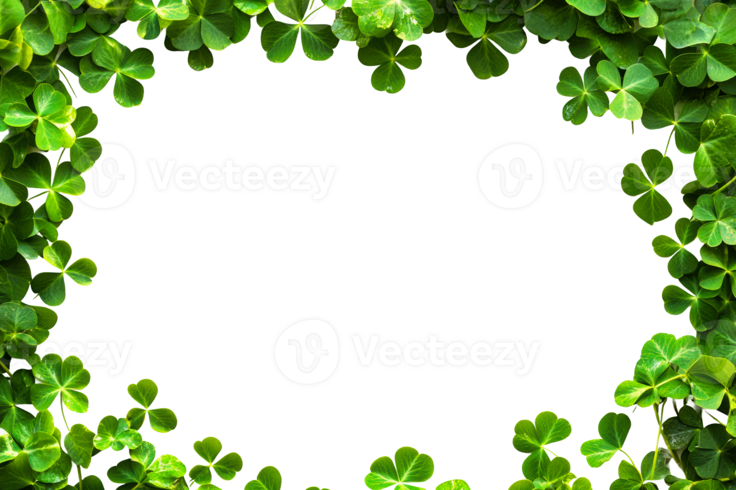 Fresh green clover leaves create a natural frame png