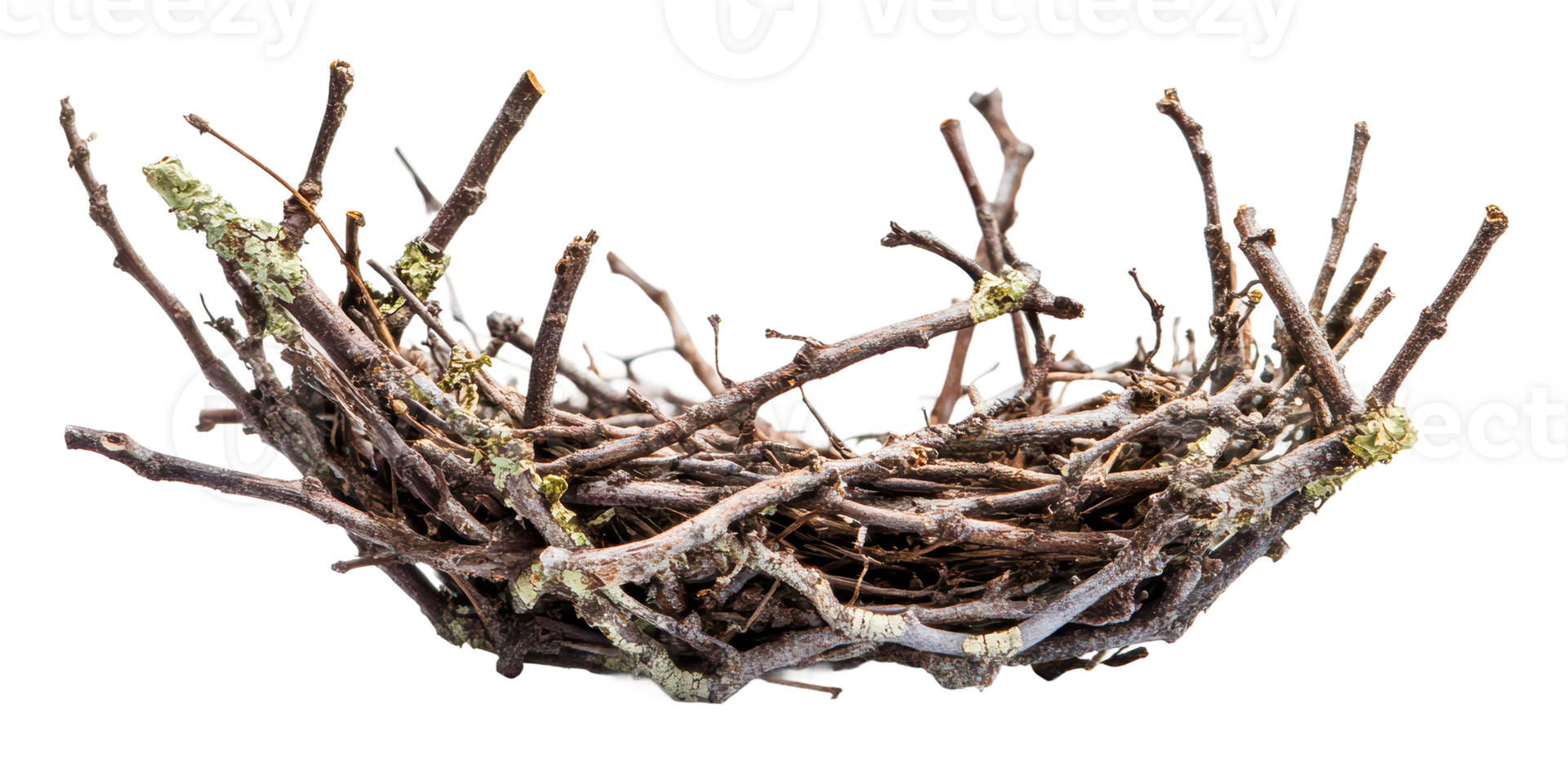 Nest made of twigs and branches in nature png