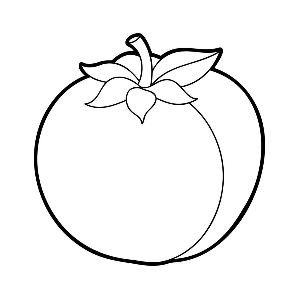 Black and white outline drawing of a persimmon vector