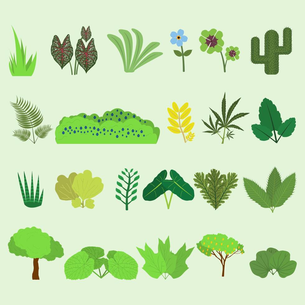 various types of plants with different types vector