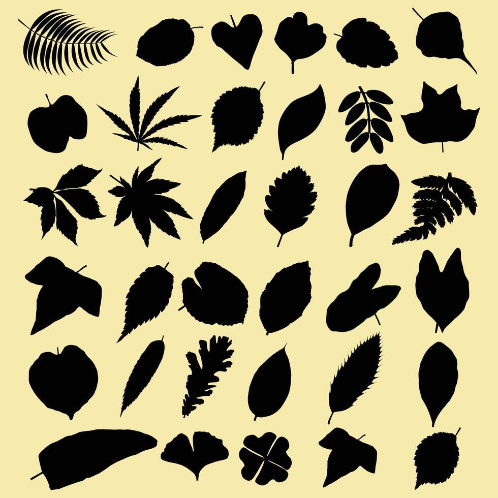collection of leaf silhouettes with different shapes vector