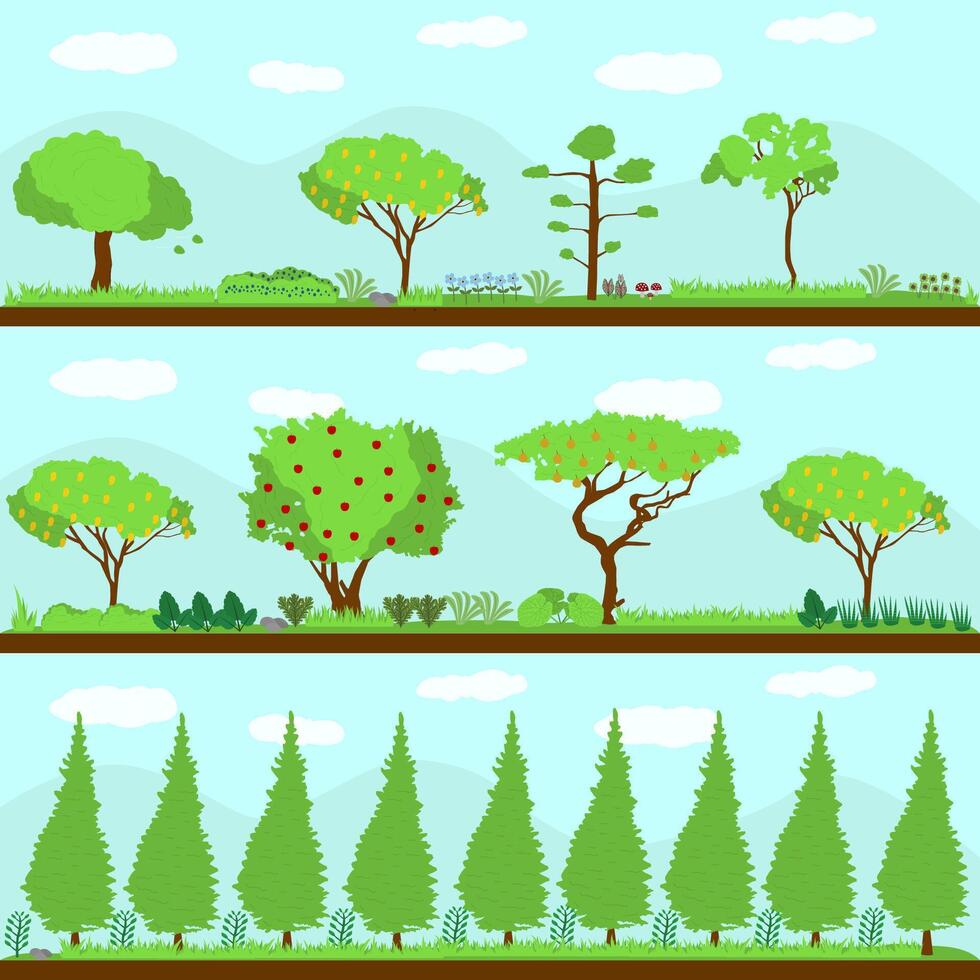 set of various forest scenes vector