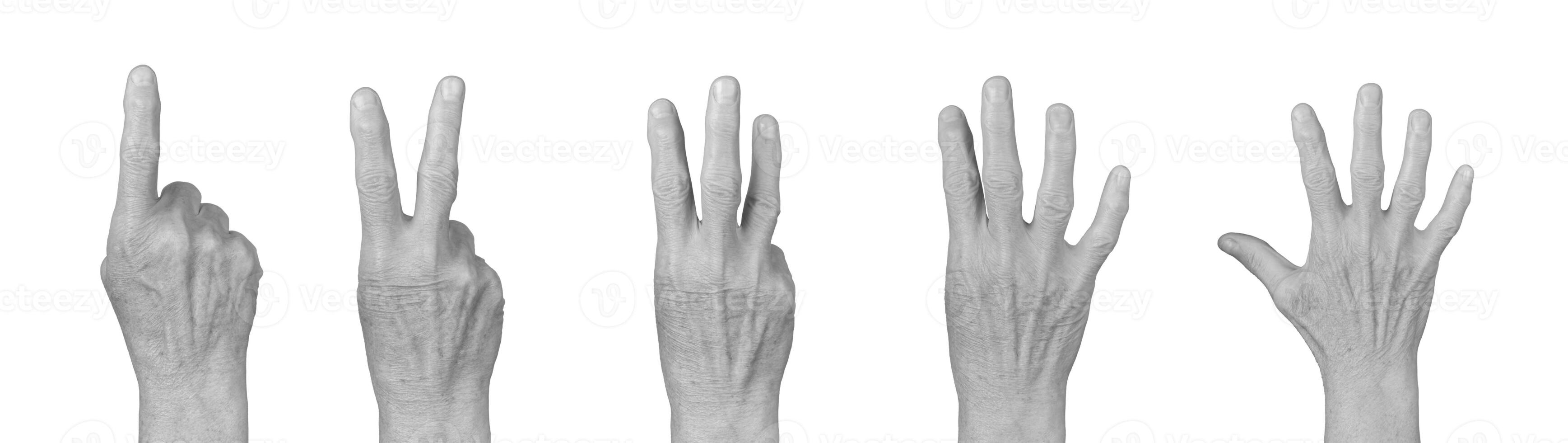 Elderly hand showing counting gestures from 1 to 5, dorsal view with visible knuckles and wrinkled photo