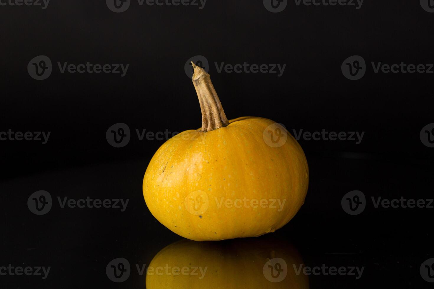 round orange pumpkin isolated on black background photo