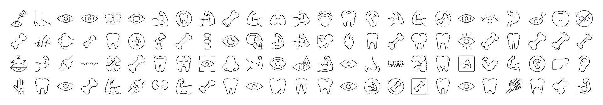 Eye, Tooth, Muscle, Internal Organs Pictures Drawn with Thin Line. Collection of Various Design Elements that Can Be Used for Apps, Articles, Web Sites, Social Media vector