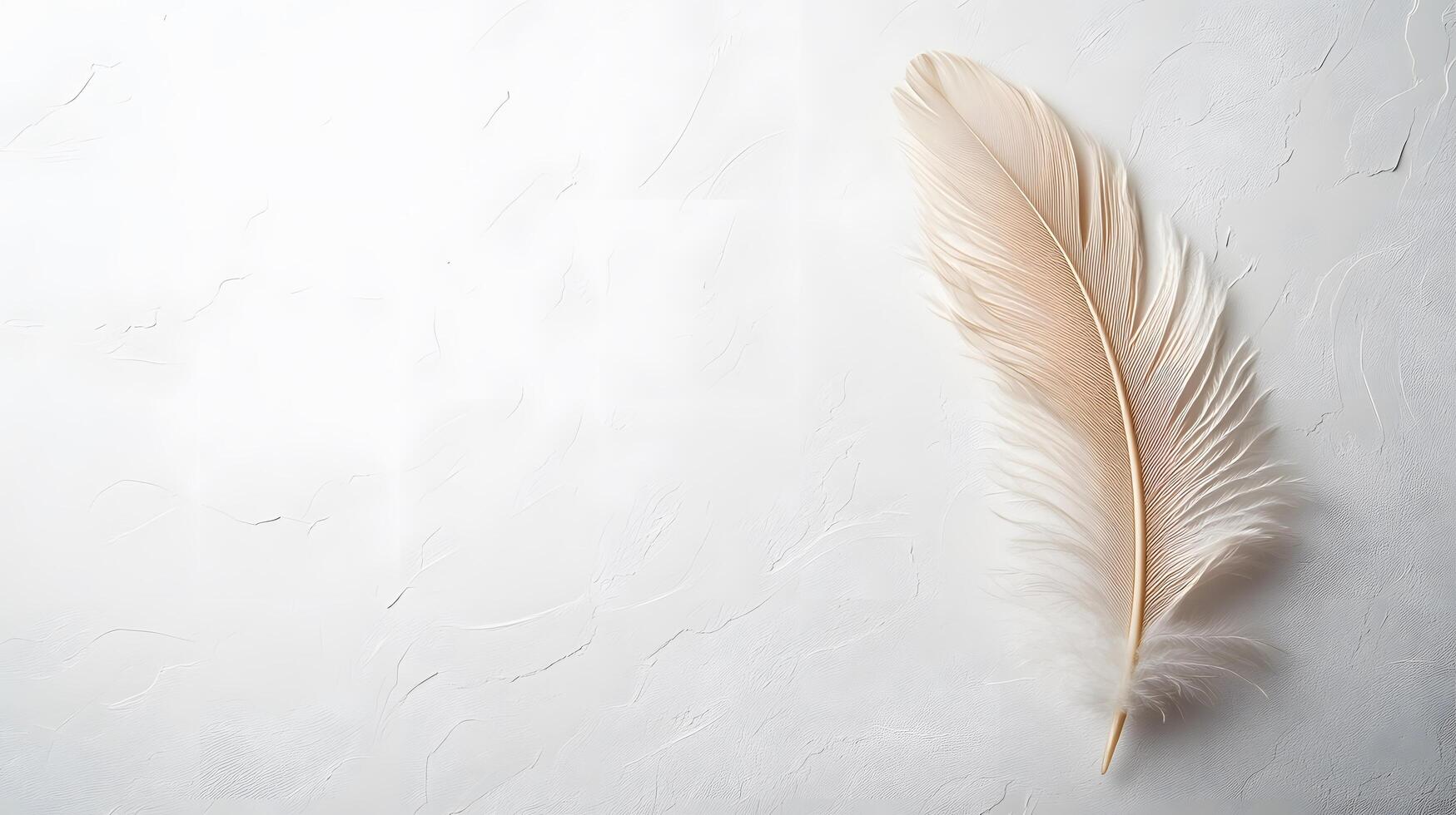 Single beige feather rests on pure white textured background in right-aligned position. Soft natural lighting emphasizes delicate details in clean minimalist composition. spotless photo