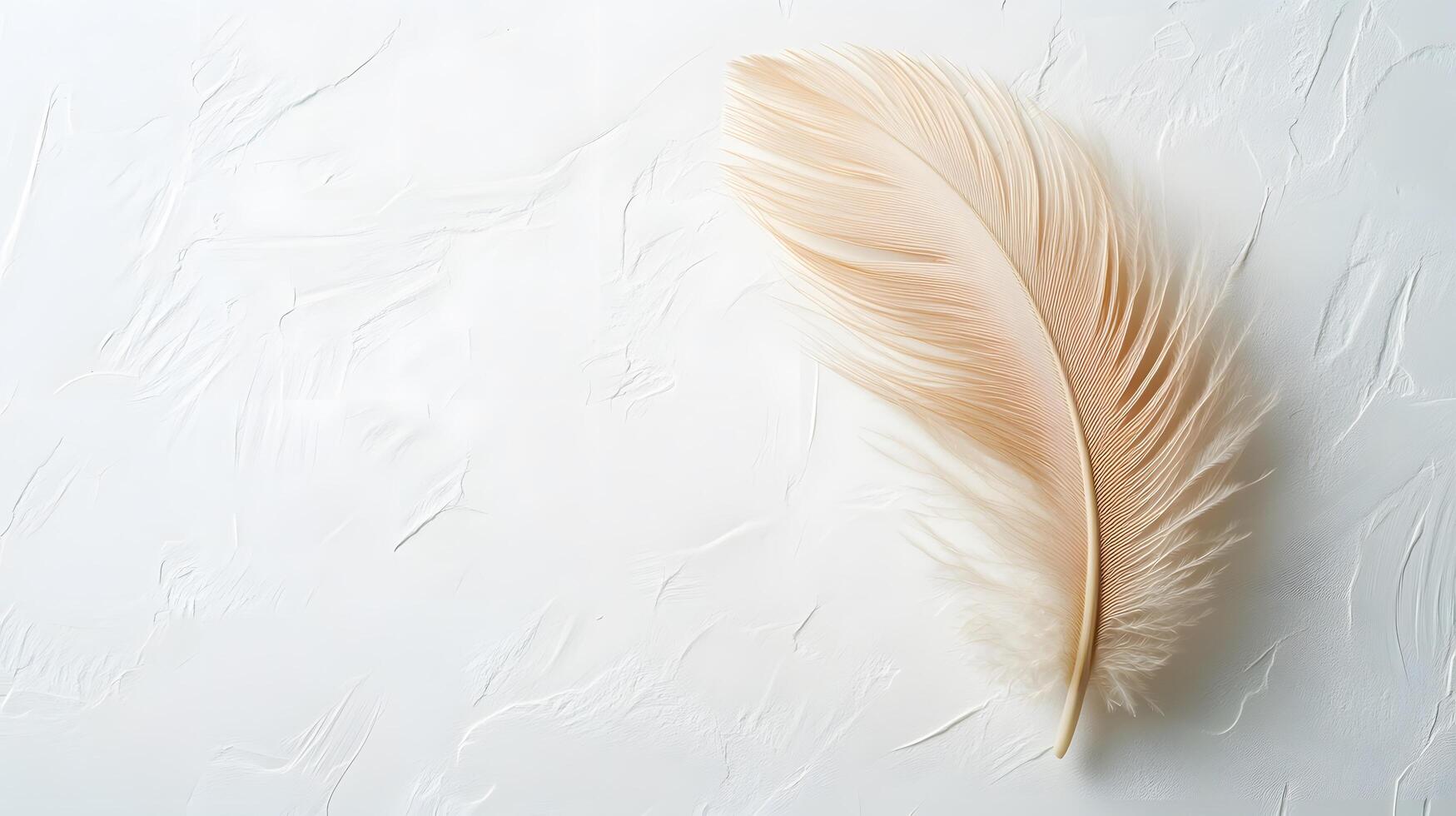 Single beige feather rests on pure white textured background in right-aligned position. Soft natural lighting emphasizes delicate details in clean minimalist composition. contemporary photo
