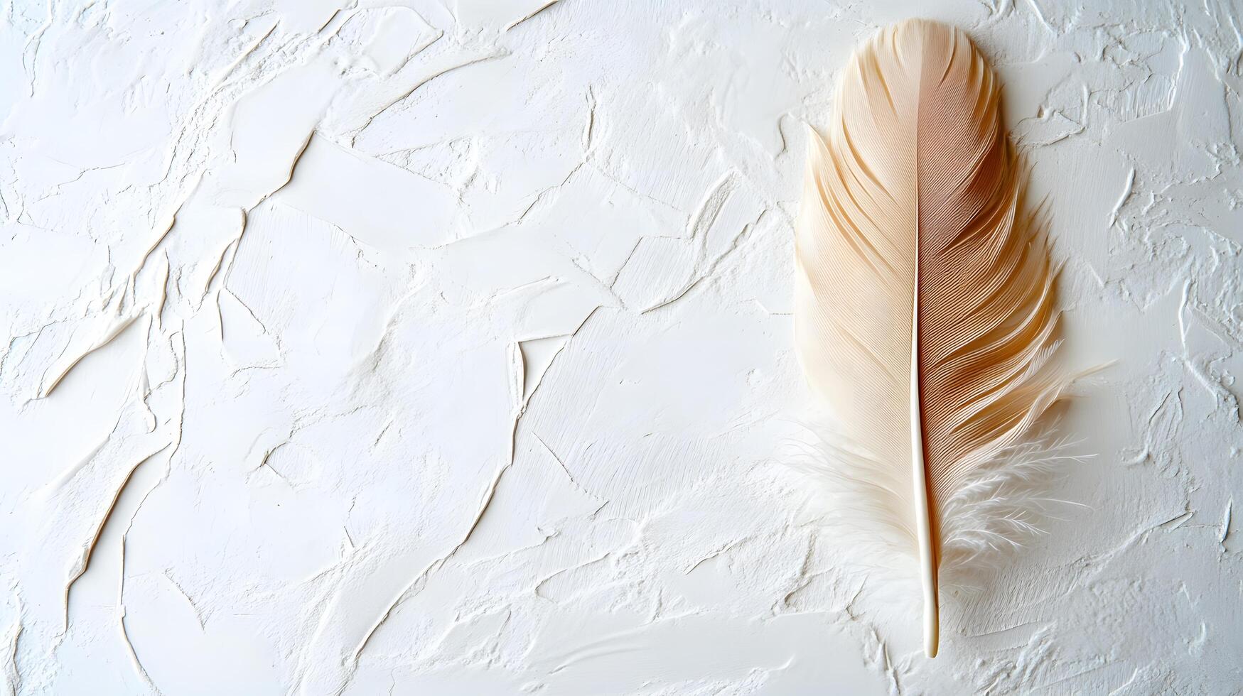 Single beige feather rests on pure white textured background in right-aligned position. Soft natural lighting emphasizes delicate details in clean minimalist composition. stylish photo