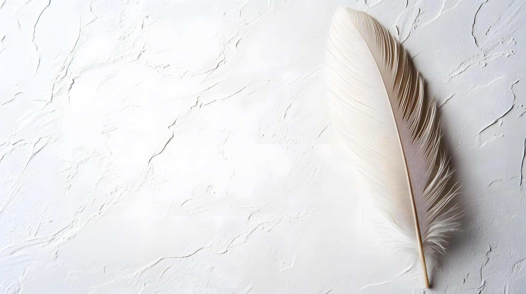 Single beige feather rests on pure white textured background in right-aligned position. Soft natural lighting emphasizes delicate details in clean minimalist composition. minimal photo