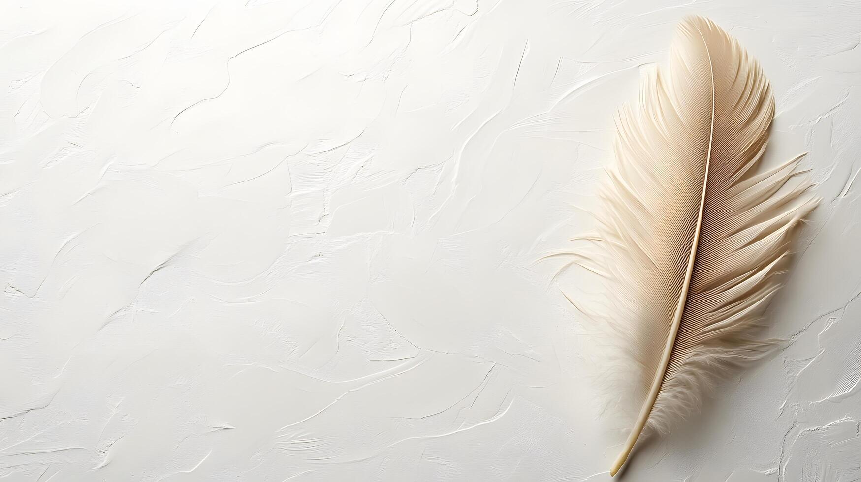 Single beige feather rests on pure white textured background in right-aligned position. Soft natural lighting emphasizes delicate details in clean minimalist composition. feather photo