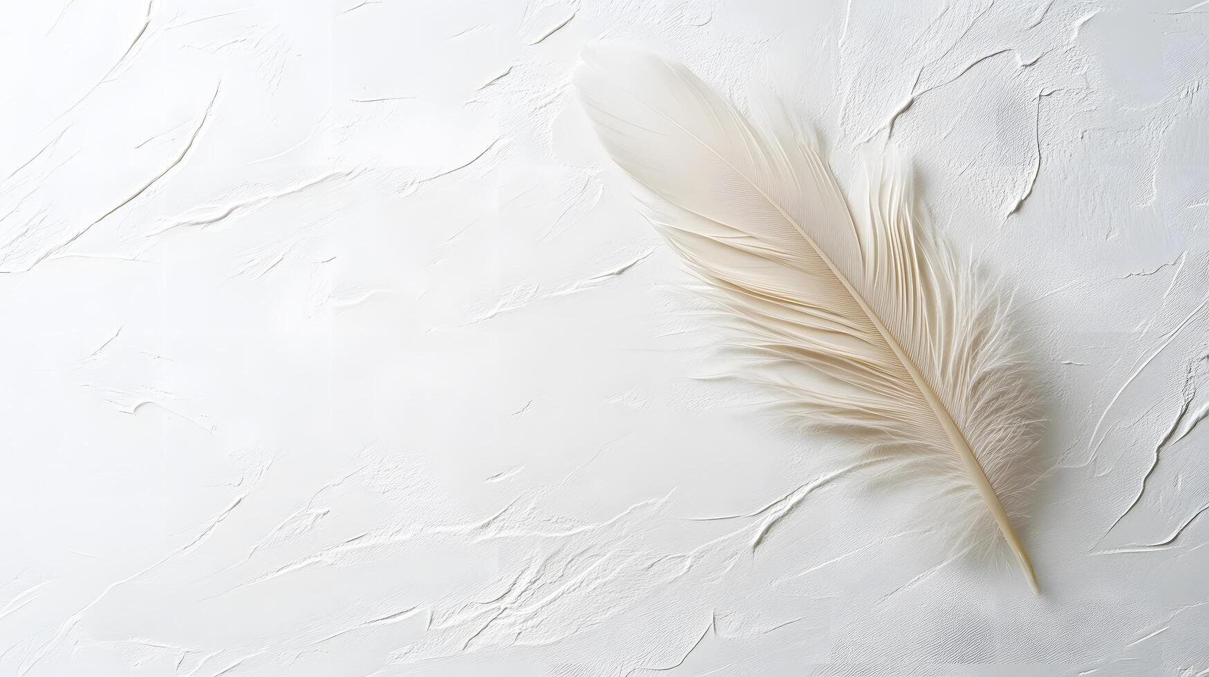 Single beige feather rests on pure white textured background in right-aligned position. Soft natural lighting emphasizes delicate details in clean minimalist composition. delicate photo