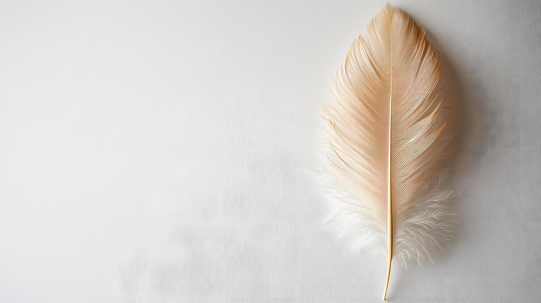 Single beige feather rests on pure white textured background in right-aligned position. Soft natural lighting emphasizes delicate details in clean minimalist composition. white photo