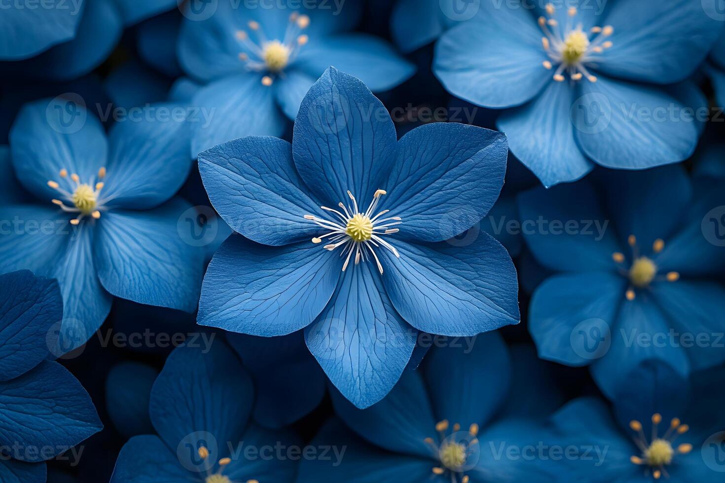 Vibrant Blue Petals Nature's Intricate Floral Patterns for Botanical Design photo